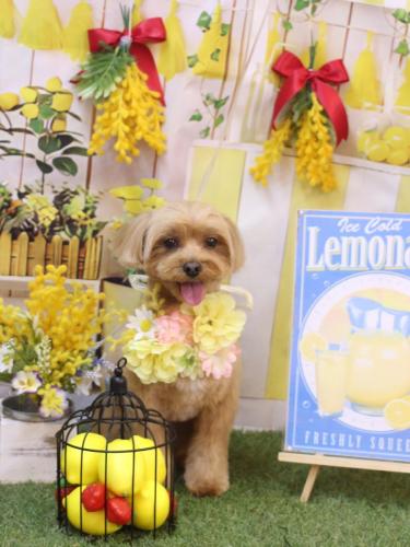 20240420モカくん